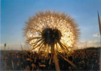 /album/tyna-gruberova/bez-nazvu-png3/